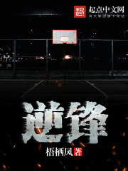 逆锋小说讲的是什么