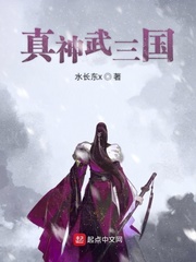真神武三国游戏