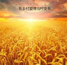 孪月